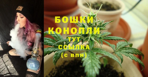 не бодяженный Верея