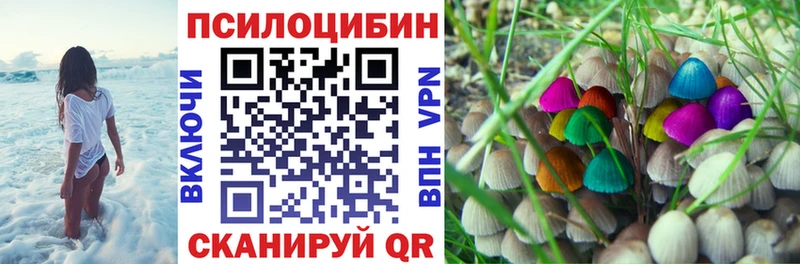 OMG ссылки  Чистополь  Галлюциногенные грибы GOLDEN TEACHER  где найти наркотики 